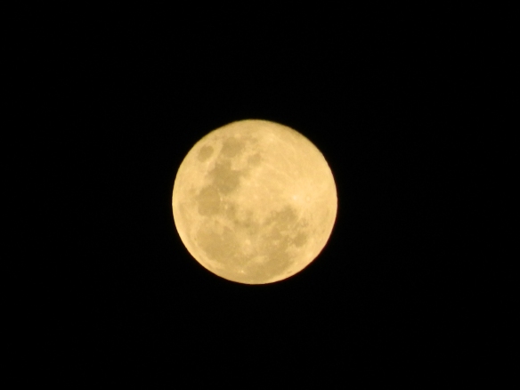 Blue Moon Aug. 31st 2012